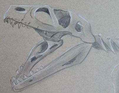 Nature Sketching - Dinosaures
