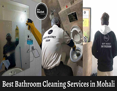 Best Bathroom Cleaning Services in Mohali
