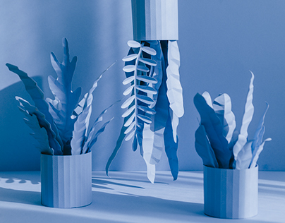 Monochrome Paper Plants