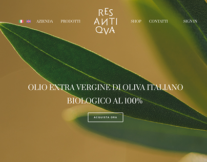 RES ANTIQVA web design