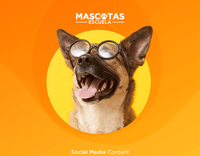 Social Media Mascotas