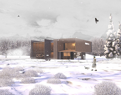 Winter Modern Lodge House
