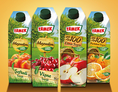 Tamek Fruit Juices Packaging Design
