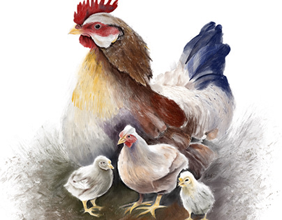 Chickens | Digital Art