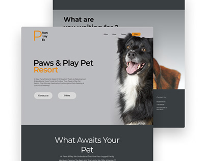 Paws&Play Pet Resort