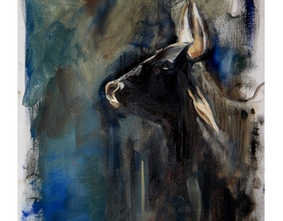 Indian Cows - Paintings