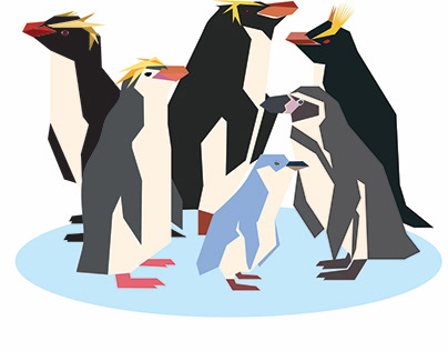 Information Design/ Penguins