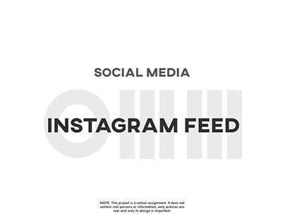 Modern Museum - Instagram Feed