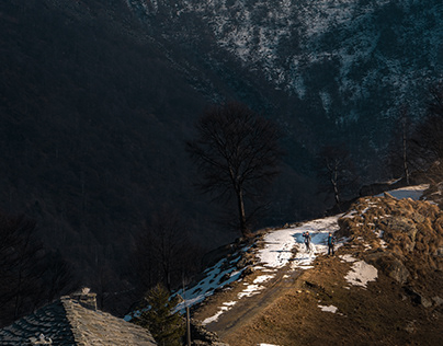 Nature Photography, Italian Alps