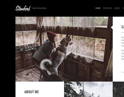Stamford - Creative Photography WordPress Theme