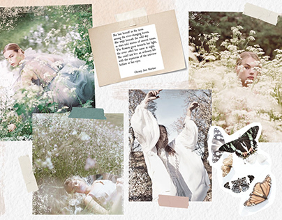 Into the Garden | Capsule Collection and Sketchbook.