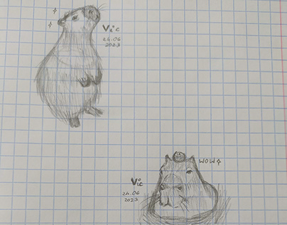 Capybara sketches - day 14 of posting everyday