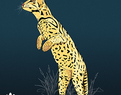 El tigrillo (Leopardus tigrinus)
