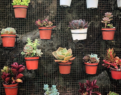 Plant pot wall