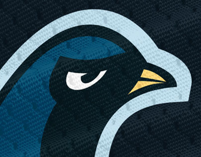 Mighty Doves Basketball - Mascot Logo