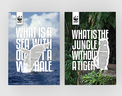WWF Poster Concepts