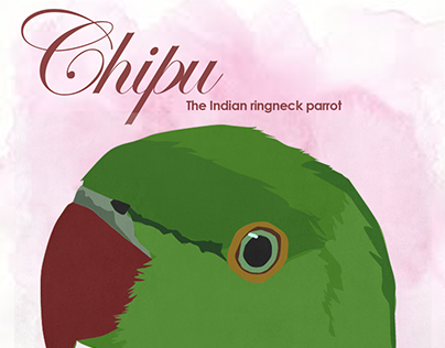 Chipu- The indian ringneck