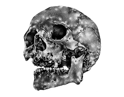 Skull, Ink on paper, 3 x 3", 2016
