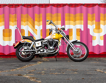 Dean Lanza Custom Painted Harley Chopper