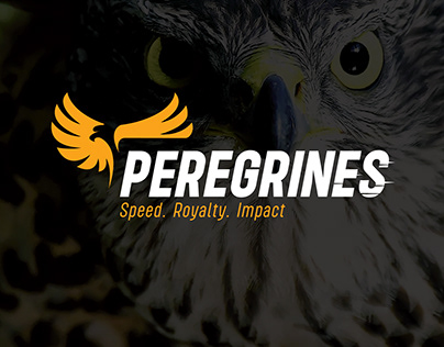 Peregrines | Logo and Branding