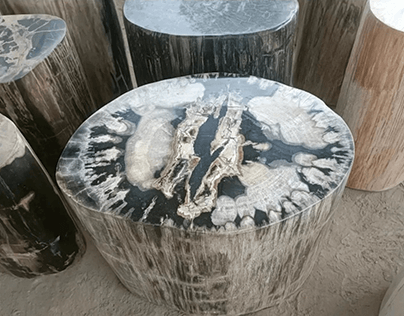 Large Petrified Wood Stump Coffee Table