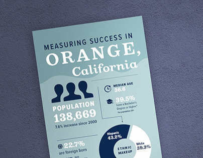 Infographic Design: Financial & Demographic Stats
