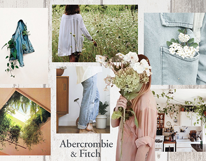 Industry Project I: Abercrombie & Fitch