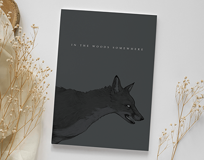 In The Woods Somewhere - Illustrated Book