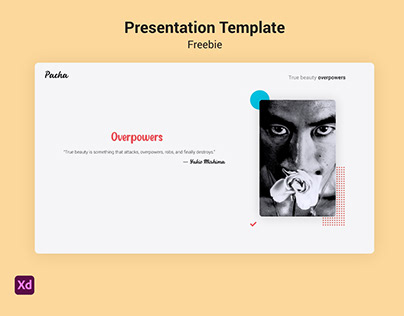 Presentation Template (freebie)