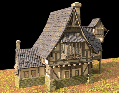 Medieval House (Concept by hahi YU)