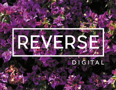 Revista Reverse Digital