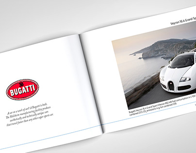 VW Annual Report 2013