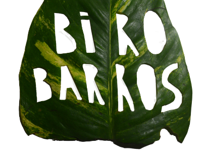 BIRO BARROS | ODARA