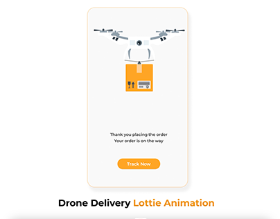 Drone Parcel Delivery & Logistics Lottie Animation
