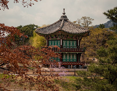 Project thumbnail - Spring in Seoul