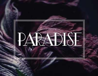 Company Logo @Paradise Holding