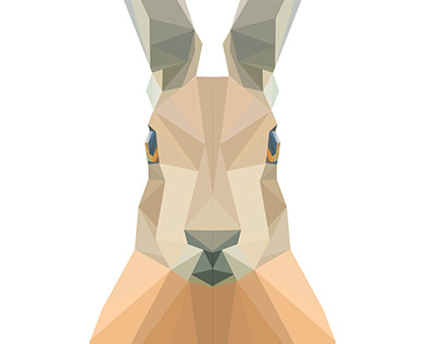 Geometric Hare