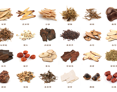 Nature’s Pharmacy: The Medicinal Magic of Chinese Herbs