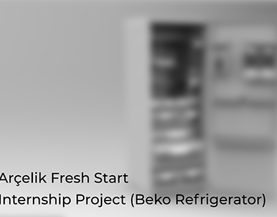 Arçelik Interbship (Refrigerator Concept Design)