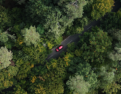 Peugeot 208 in a beautiful Ukrainian forest