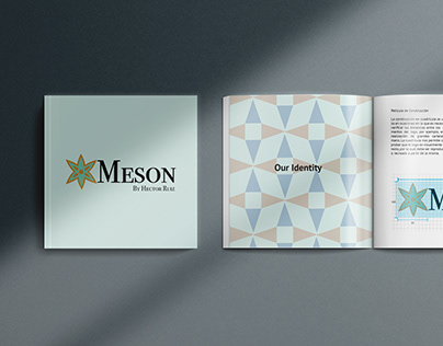 Brandbook design for "Meson"