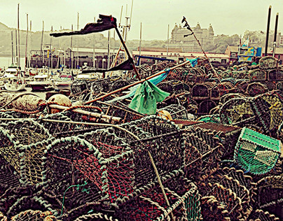 The harbour crab and Lobster pots Taken In Scarborough
