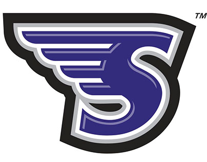 Stonehill College Women's Basketball Projects