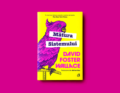 Cover design for The Broom of the System