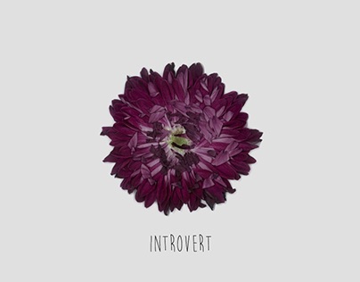 Introvert / Extrovert