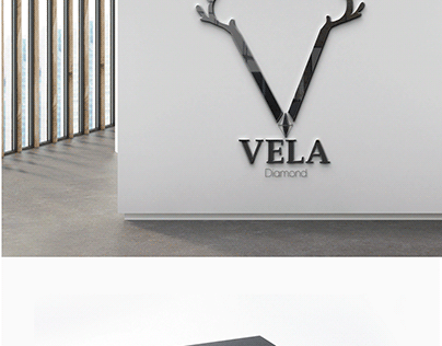 Project thumbnail - Vela LOGO design