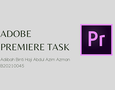 Adobe Premiere Task