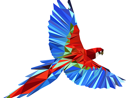 Parrot - Low Poly - Vector Illustration