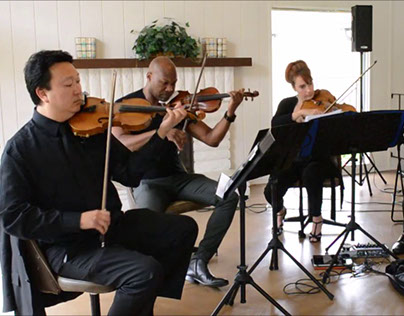 Outstanding String Quartet Services By Ocdamia Strings