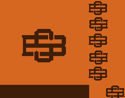 B + S Monogram Concept logo